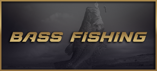 bass fishing cover